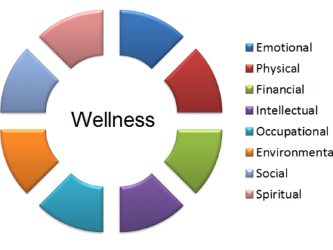 Wellness Wheel Mental health