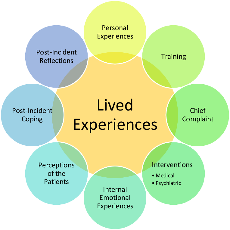 Lived Experience Meaning