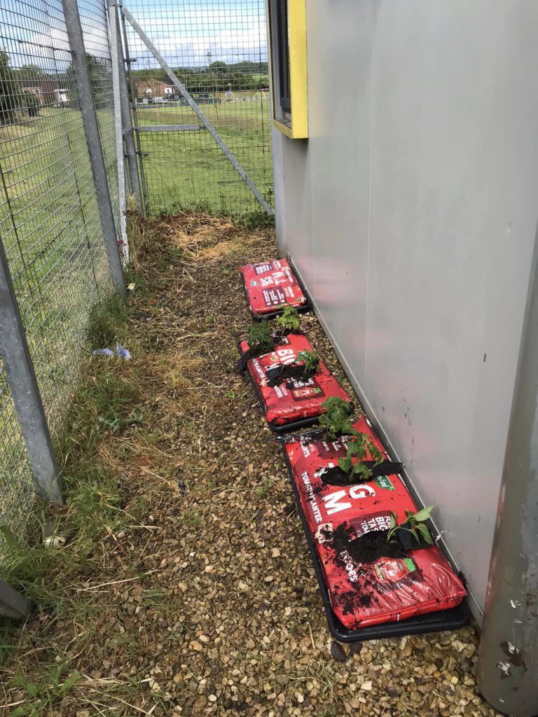 The Trowbridge Service Users Group is delighted to announce the successful launch of our new Community Garden Project with the first planting day taking place today. 