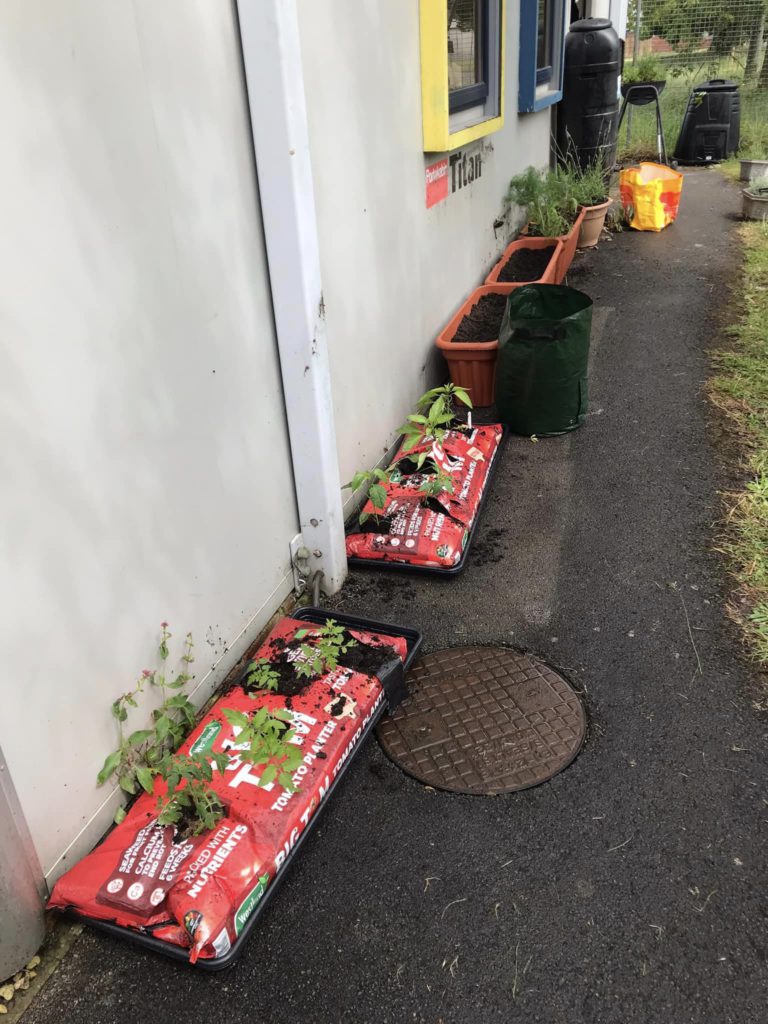 The Trowbridge Service Users Group is delighted to announce the successful launch of our new Community Garden Project with the first planting day taking place today. 